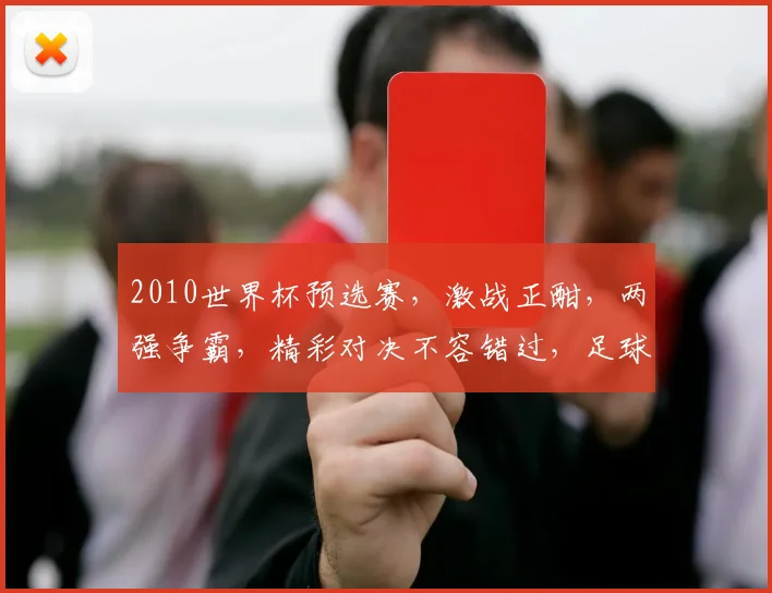 2010世界杯预选赛，激战正酣，两强争霸，精彩对决不容错过，足球盛宴等你来